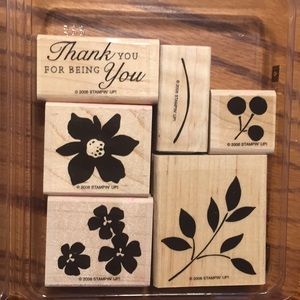 STAMPIN’ UP! Best Blossoms Set
